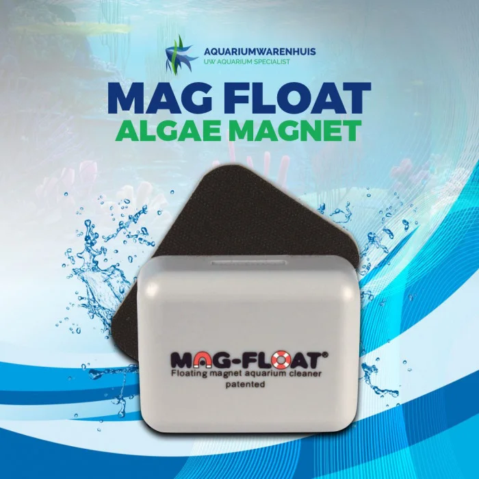 Mag float algae magnet tegen algen op het aquariumglas