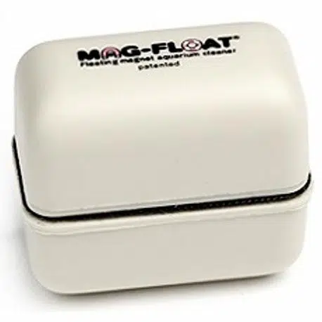 algenmagneet-voor-acrylglas-mini-45x25x40-mm
