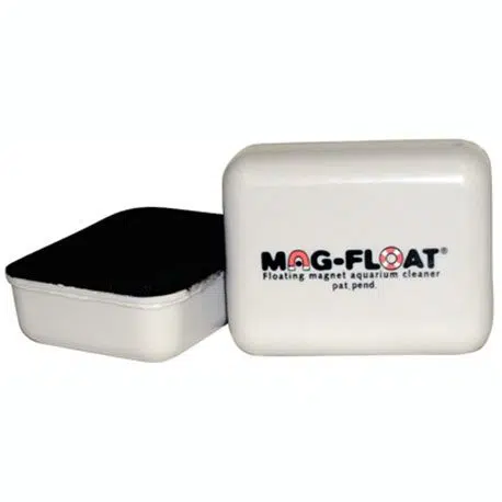 algenmagneet-zelfdrijvend-large-80x65x55-mm-blister