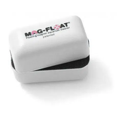 algenmagneet-zelfdrijvend-small-60x32x52-mm-blister