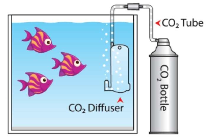 Co2 starters set van hs aqua