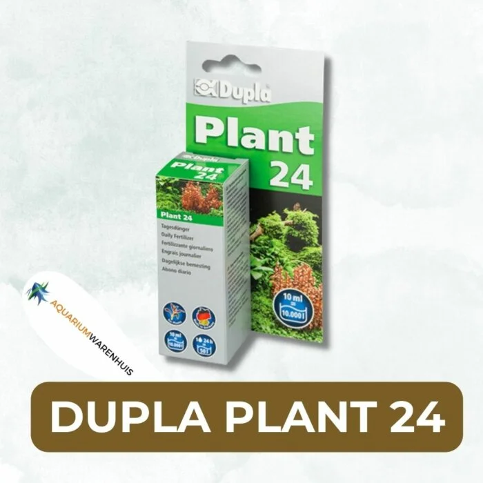 DUPLA PLANT 24