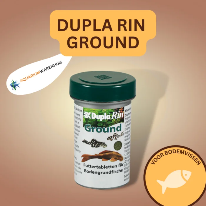 DUPLA RIN GROUND
