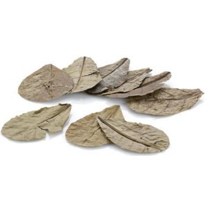eheim-natural-care-zee-amandelboombladeren-inh-9-g-catappa
