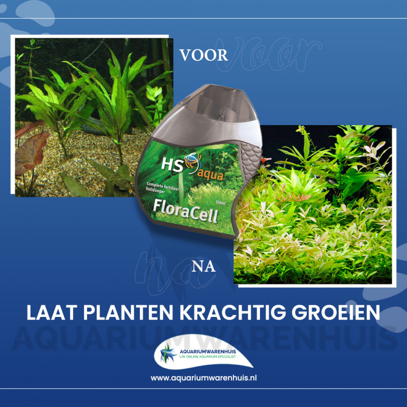 HS AQUA FLORACELL PLANTENVOEDING 14 DAGEN Aquariumwarenhuis