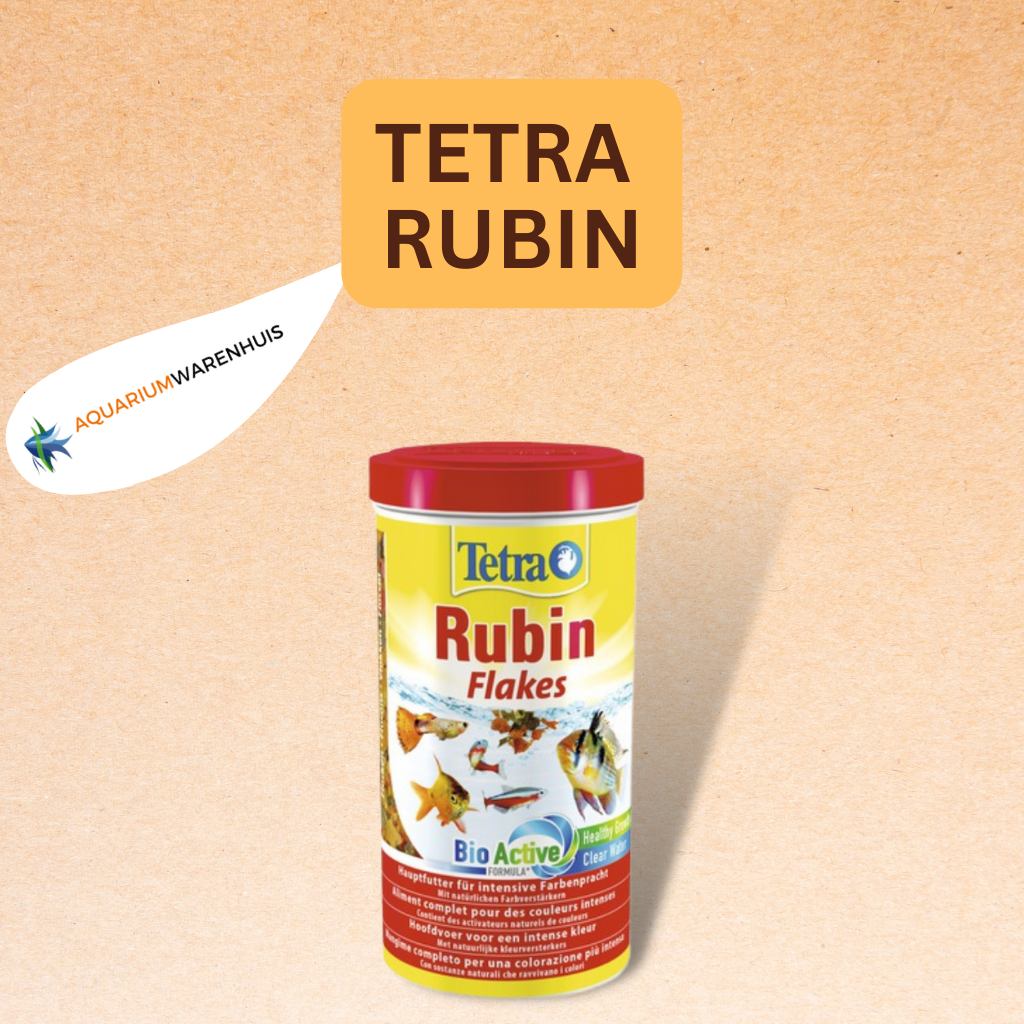 TETRA RUBIN  Aquariumwarenhuis