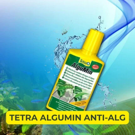 ANTI ALGEN ALGENBESTRIJDING TETRA ALGUMIN