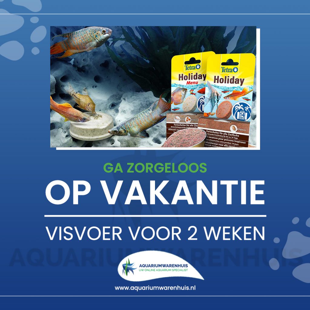 VAKANTIEVOER TWEE WEKEN