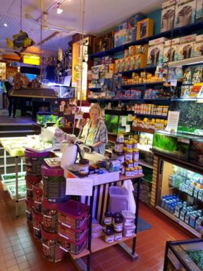 aquarium winkel achter toonbank aquarium winkel achter toonbank