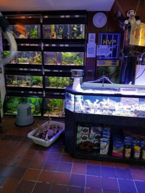 aquarium winkel andere bak aquarium winkel andere bak
