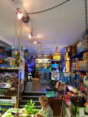 aquarium winkel bezig aquarium winkel bezig