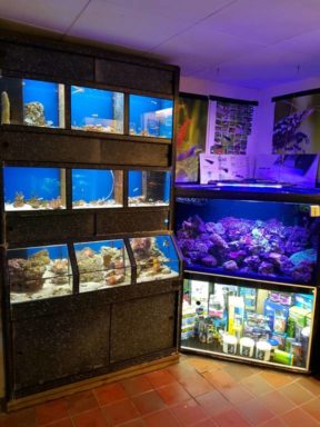 aquarium winkel van binnen aquarium winkel van binnen