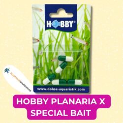 HOBBY PLANARIA X SPECIAL BAIT