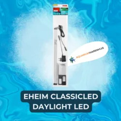 Osram Star Ledlamp Classic P (E14, Niet dimbaar, Daglicht wit, 470 lm