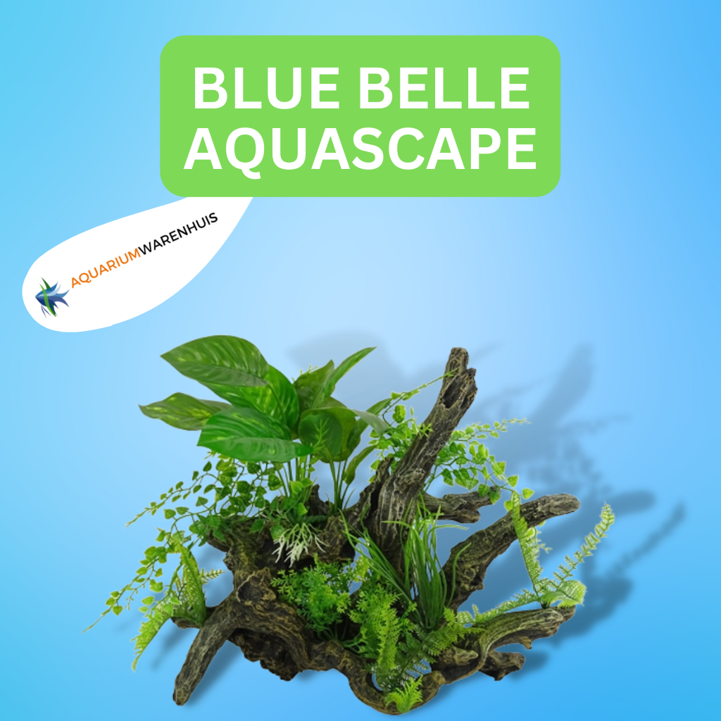 Jabeth Wilson Ladder Samuel Aquascape producten online bestellen - Aquariumwarenhuis