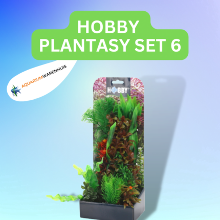 HOBBY PLANTASY SET 6