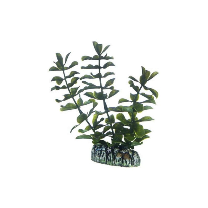 Hobby Bacopa 13cm