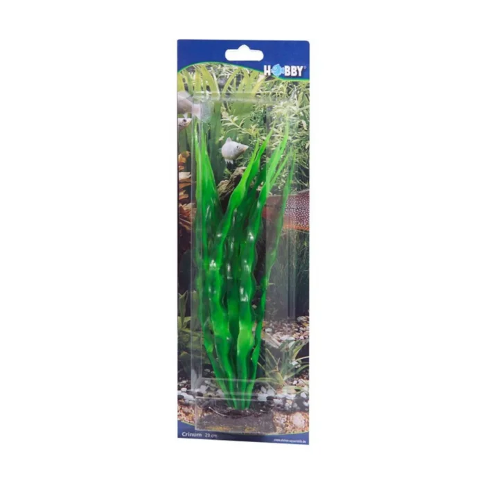 Hobby Crinum 29CM