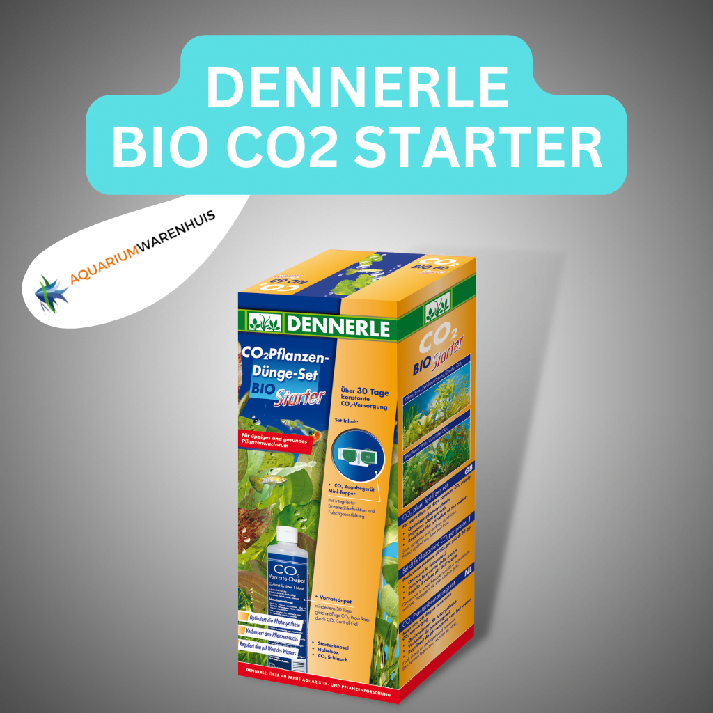 DENNERLE PLANT BIO STARTER | Aquariumwarenhuis