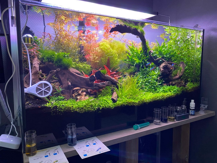 wapen beheerder Categorie Aquariumwarenhuis | Zeven Tips voor goed water in het aquarium