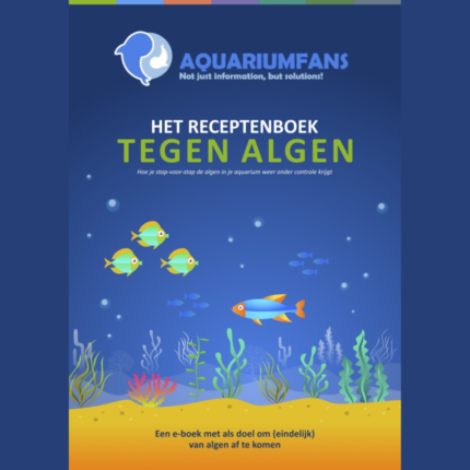 het receptenboek tegen algen (6)