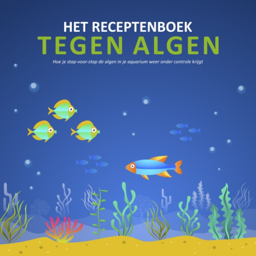 het receptenboek tegen algen (6)