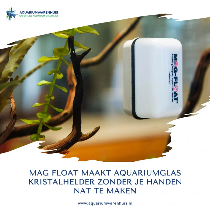 Magfloat algenmagneet maakt je aquariumruit schoon