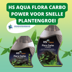 hs aqua flora carbo