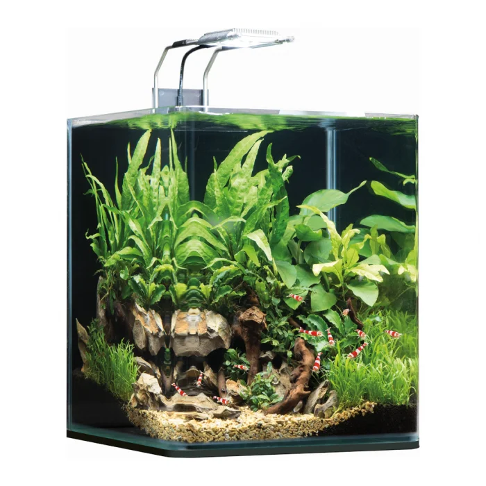 Dennerle Nano Cube Complete 20L display