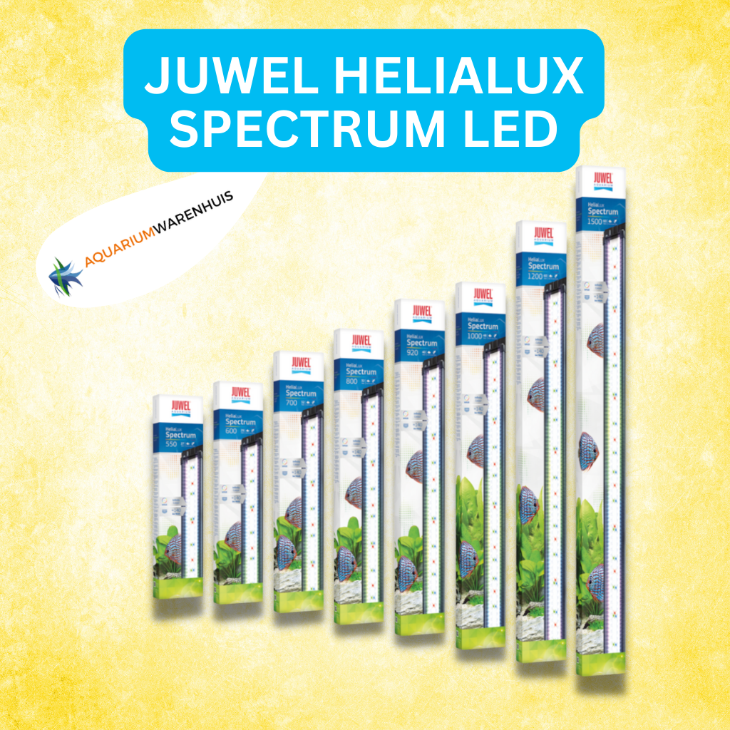 erotisch Koor Plunderen JUWEL HELIALUX SPECTRUM LED | Aquariumwarenhuis