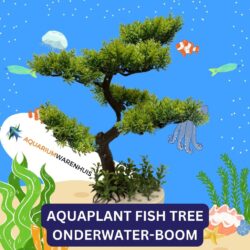 AQUAPLANT JAPONESE