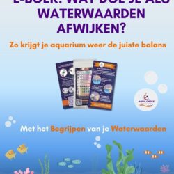 E-boek versie algemeen
