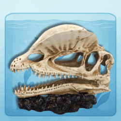 Dinosaurus Schedel
