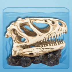 T-Rex Dinosaurus