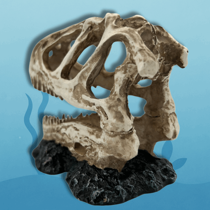 T-Rex Dinosaurus (3)