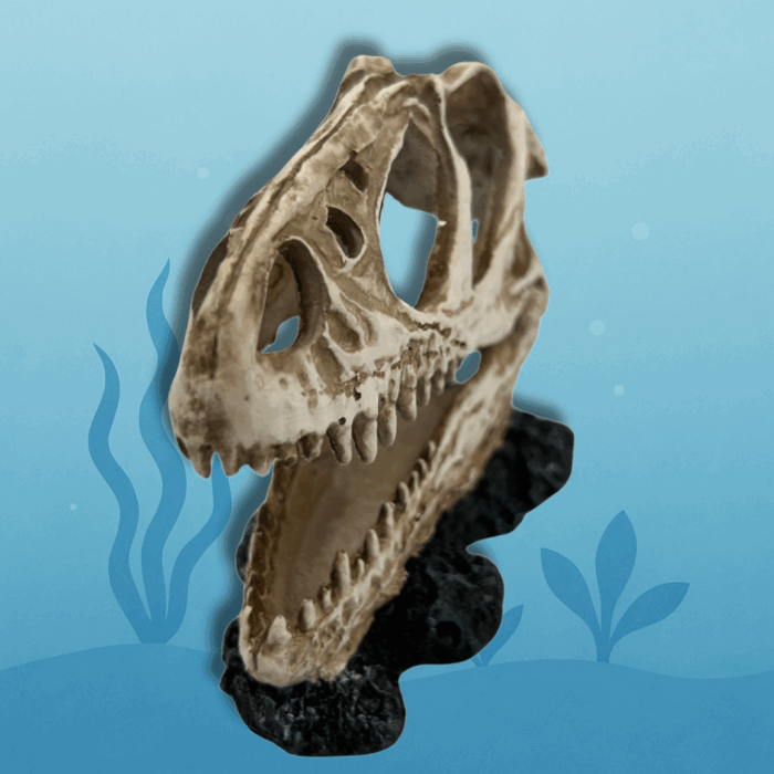 T-Rex Dinosaurus (4)