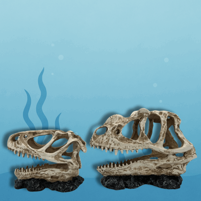 T-Rex Dinosaurus (5)