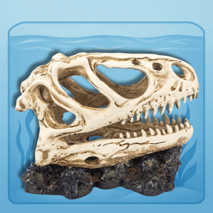 T-Rex Dinosaurus