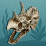 Triceratops Dino Schedel Boven