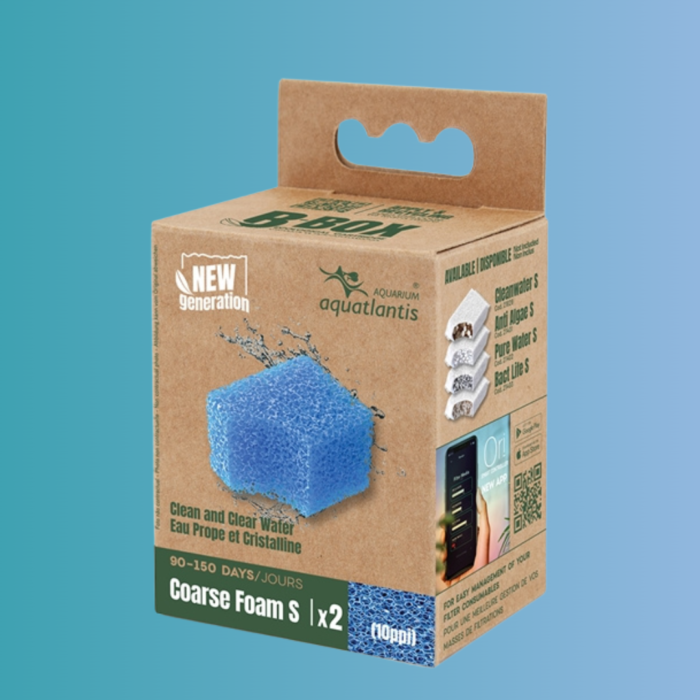 B-Box Coarse Foam S