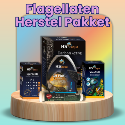 Flagellaten Herstel Bundel