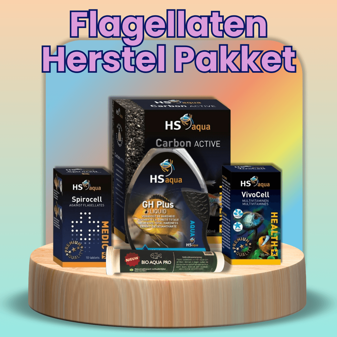 Flagellaten Herstel Bundel