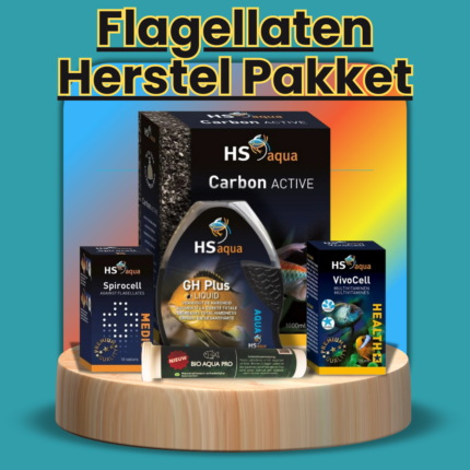 Flagellaten Herstel Bundel