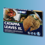 Hobby Catappa Leaves XL
