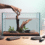Aquariumdecoratie van natuurlijke materialen met drijfhout rivierstenen en Java varens