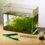 Nieuwe aquariumplanten quarantaine met glasaquarium kalkvlekken en thermometer