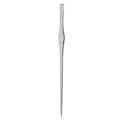 CHIHIROS PINCET RECHT 25 CM