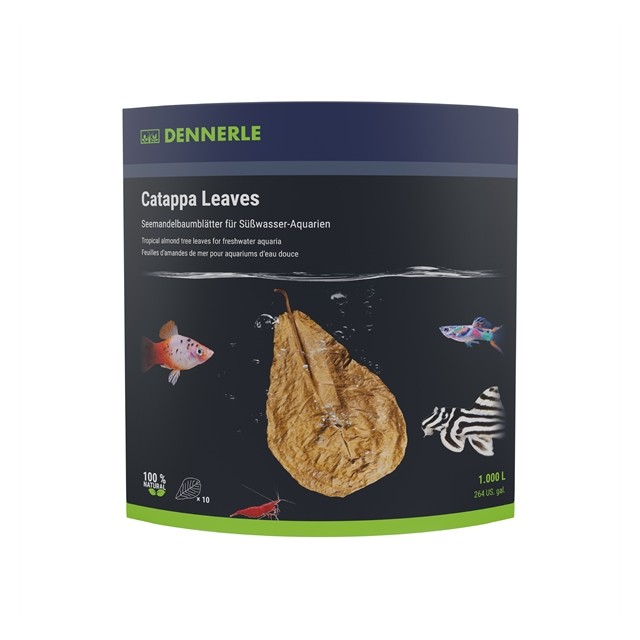 D2744_01_Catappa-Leaves DENNERLE CATAPPA LEAVES 10 ST - VOOR 800 L