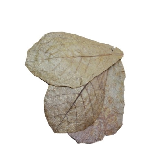 D2744_PA_I1_PIM_FRO_CatappaLeaves DENNERLE Catappa Leaves 10 ST - natuurlijk waterconditioner.