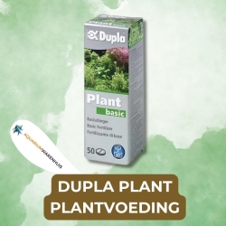 DUPLA PLANT PLANTVOEDING
